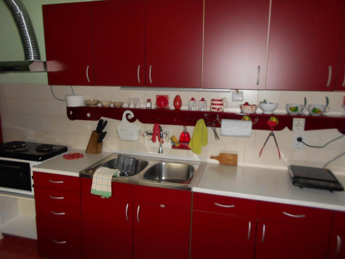 Apartman "Dom Stankovica" Pirot Exterior photo