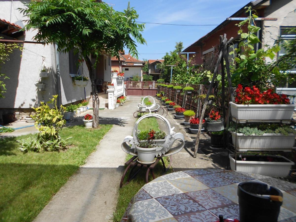 Apartman "Dom Stankovica" Pirot Exterior photo