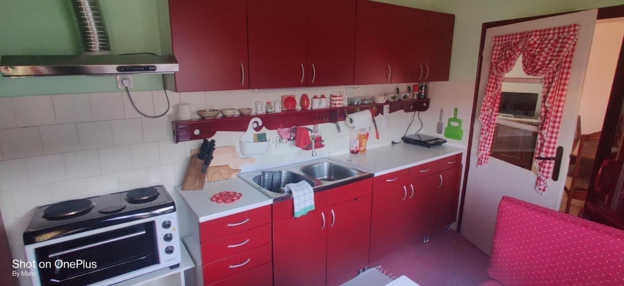 Apartman "Dom Stankovica" Pirot Exterior photo